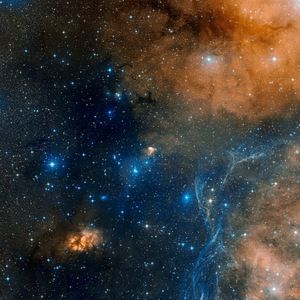 Meet your Posher, Steve